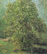 Vincent Van Gogh Blossoming Chestnut Tree oil on canvas